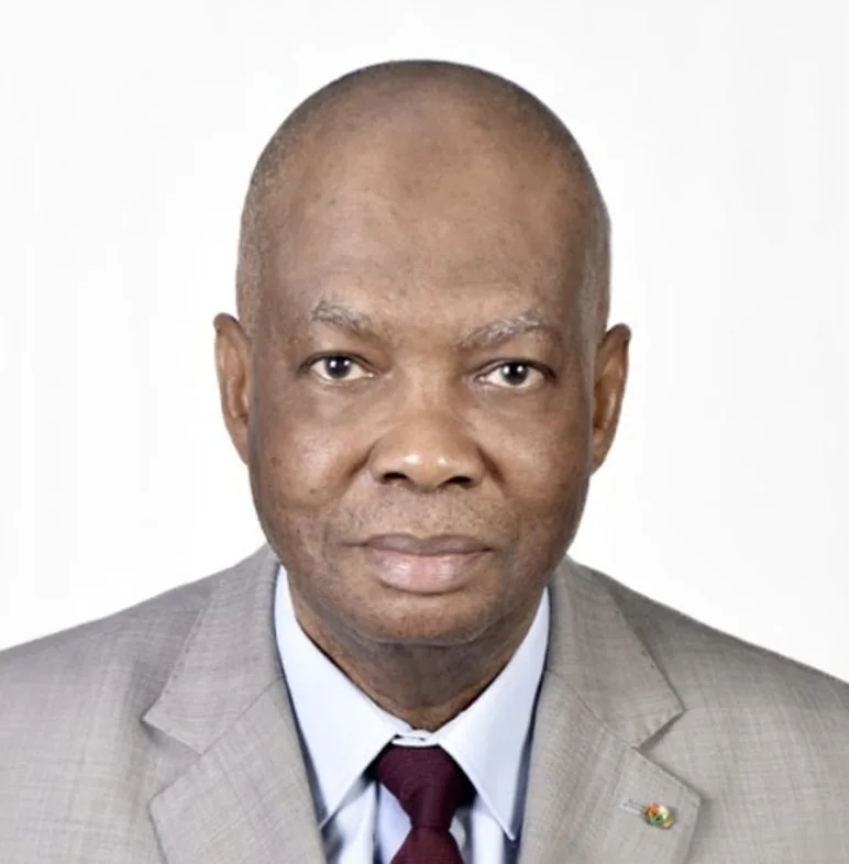 فافي دومبيا